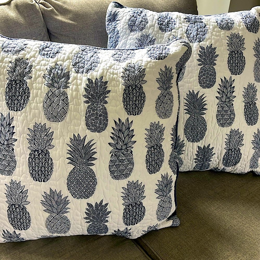 Pillow Covers (2)